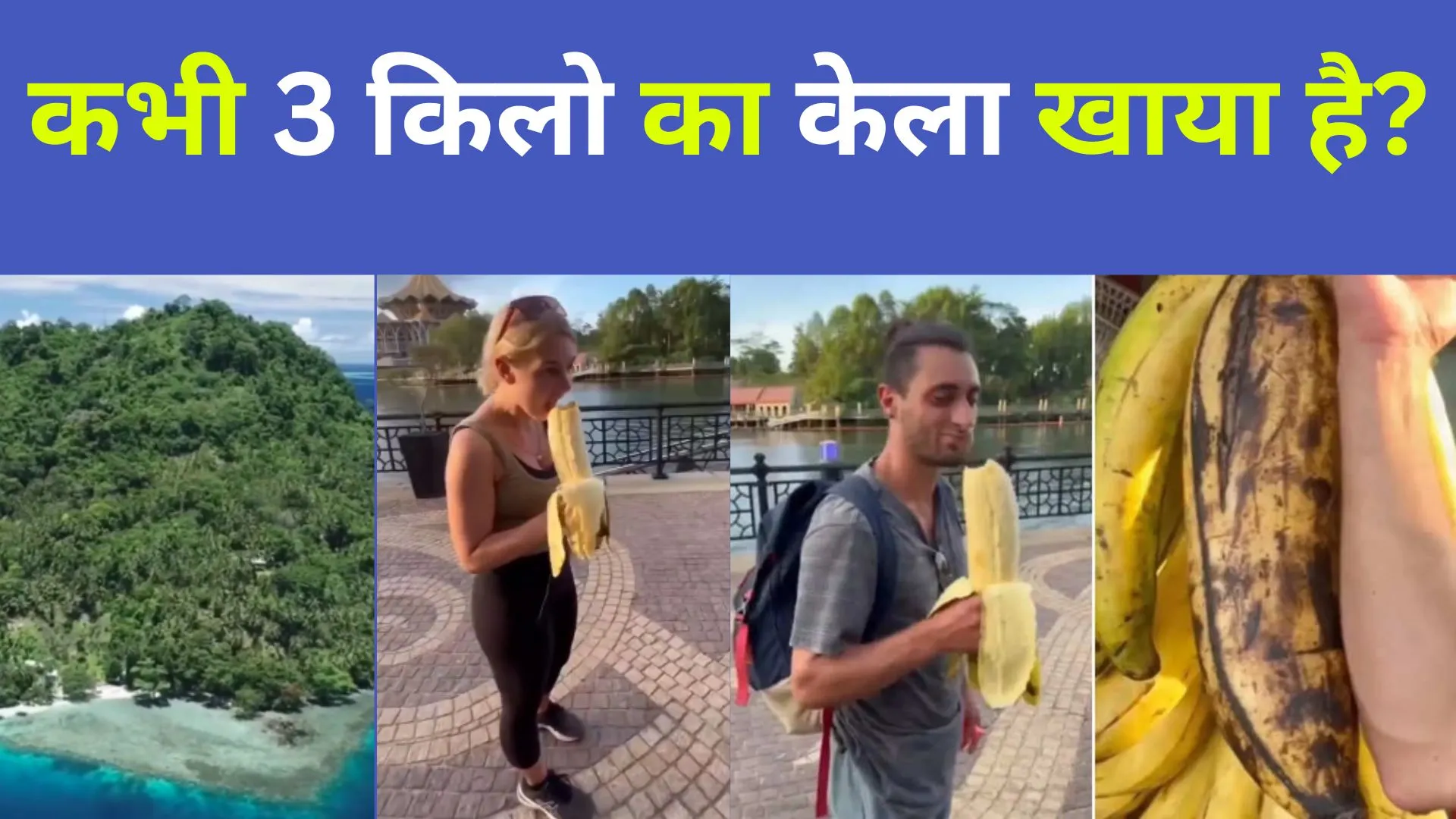 VIDEO: दुनिया के सबसे बड़े केले मिलते हैं यहां... वजन 3 Kg, साइज हथेली से लेकर कोहनी तक