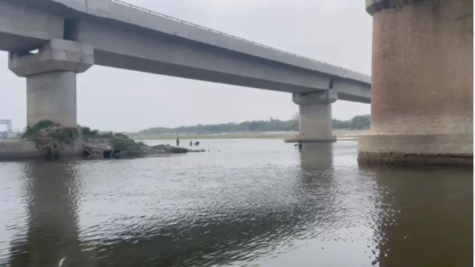 बरेली: पूरे दिन की मेहनत, कमाई 200 रुपए, जान जोखिम में डालकर रामगंगा नदी में खोजते हैं सिक्के