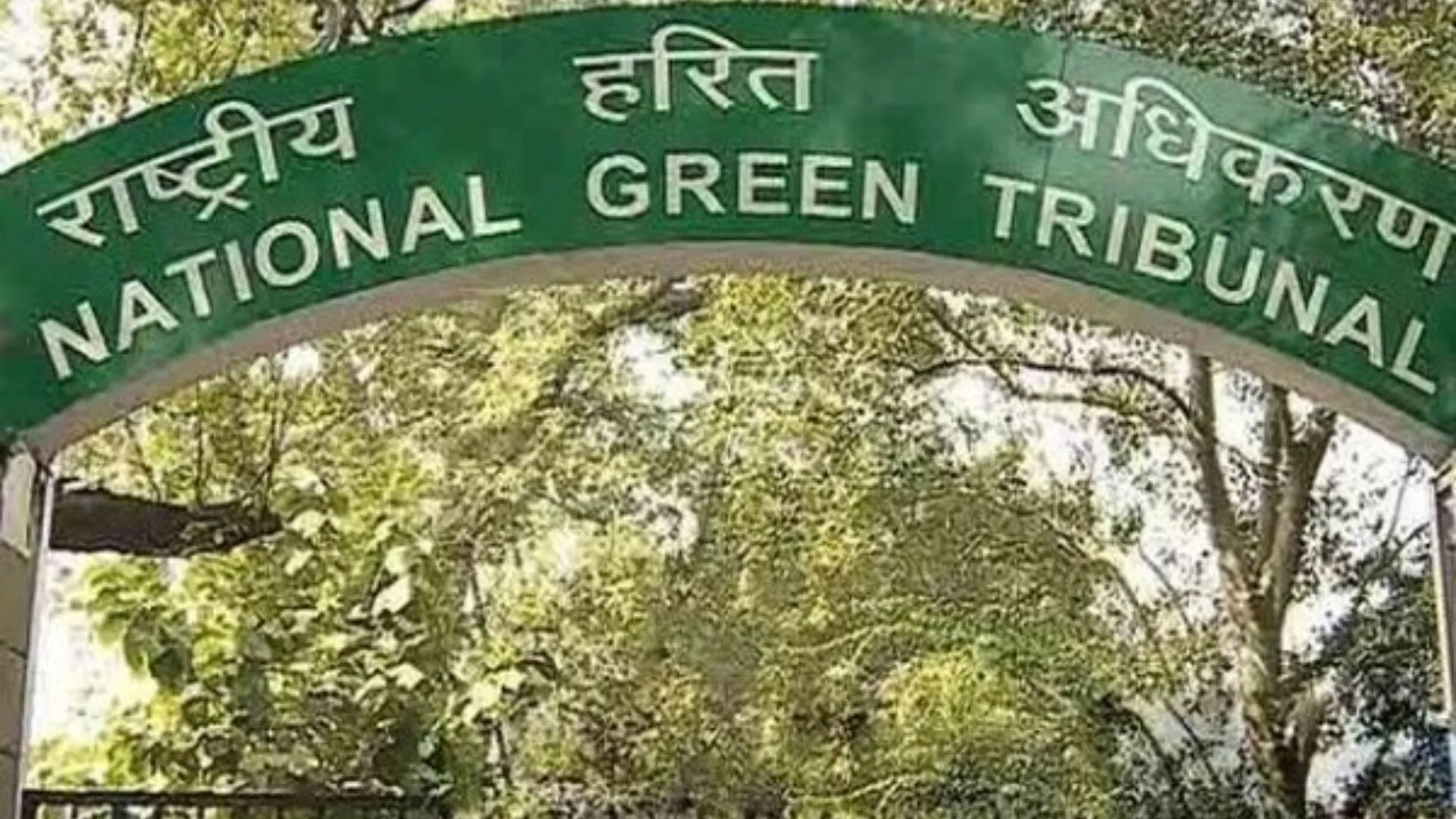 NGT ने उत्तर प्रदेश के विश्वविद्यालय को पक्षी अभ्यारण्य के ‘बफर जोन’ में निर्माण रोकने का दिया निर्देश  