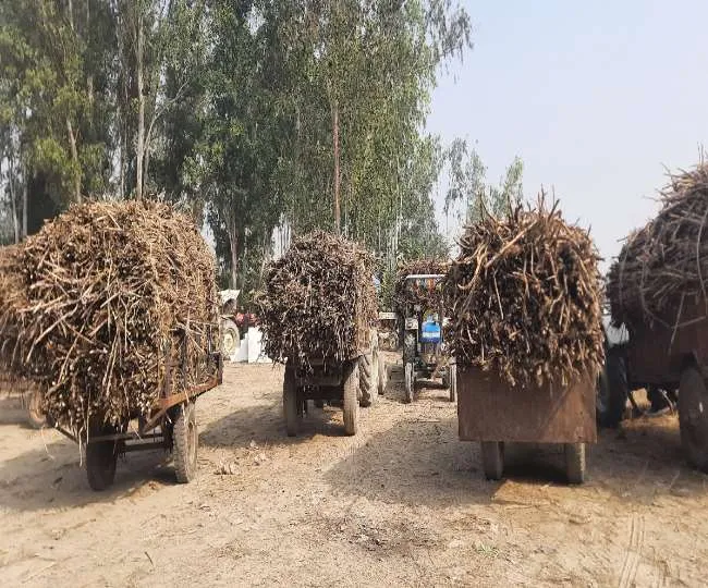 राकांपा नेता से जुड़ी गन्ना मिल के खिलाफ कार्रवाई को लेकर भाजपा के दो नेताओं में बहस 
