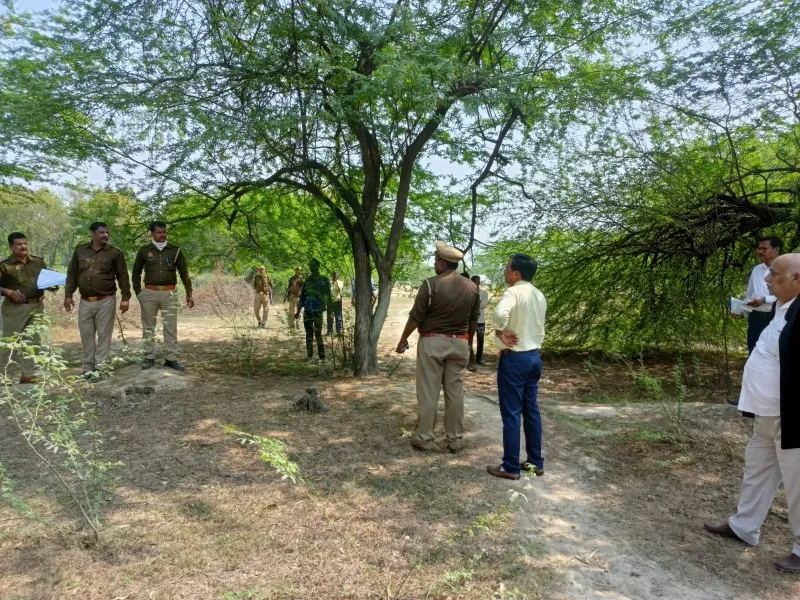 रायबरेली: सुनसान जंगल में गोवंशों की मिली अस्थियां , मचा हड़कंप 