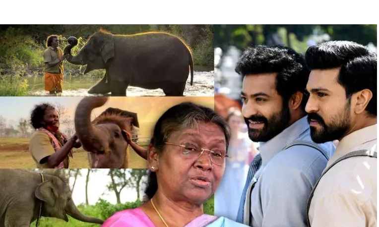 राष्ट्रपति ने की ऑस्कर विजेता वृतचित्र ‘द एलीफेंट व्हिस्परर्स’ की टीम से मुलाकात 