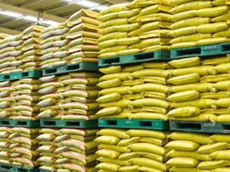 लखनऊ: जिले में उर्वरक बिक्री की जांच के निर्देश, टीमें गठित