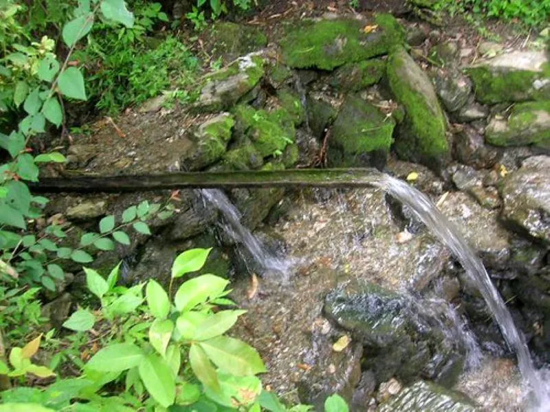 हल्द्वानी: प्राकृतिक स्त्रोतों में जल श्राव स्तर गिरने से भारी जल संकट की आहट