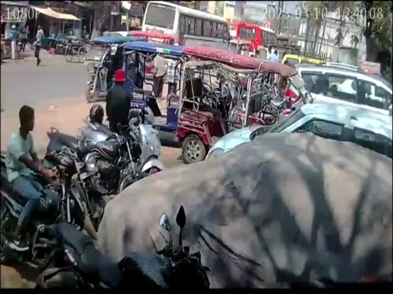 बहराइच: महज 30 सेकंड में बाइक लेकर हुआ फरार, चोरी की वारदात CCTV में कैद - देखें Video