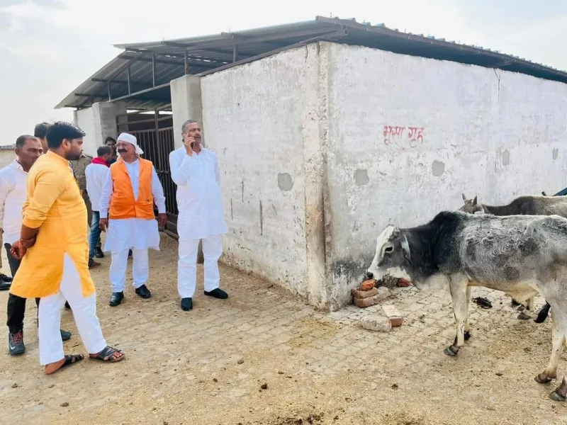 चित्रकूट: विधायक को औचक निरीक्षण में मृत अवस्था में मिले गोवंश, कठोरतम कार्रवाई के निर्देश