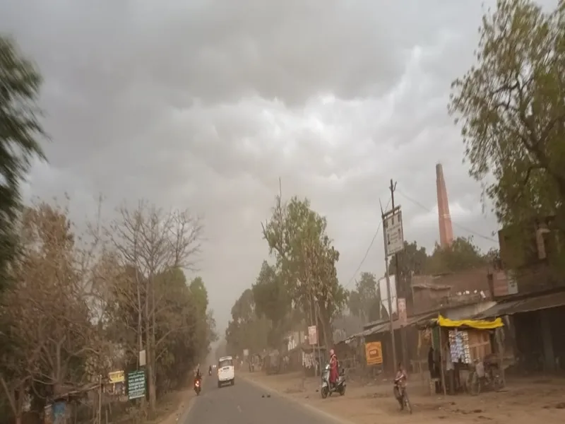 बहराइच में मूसलाधार बारिश के साथ हुई ओलावृष्टि, हवा चलने से गिरी फसल तो किस्मत को कोस रहे किसान