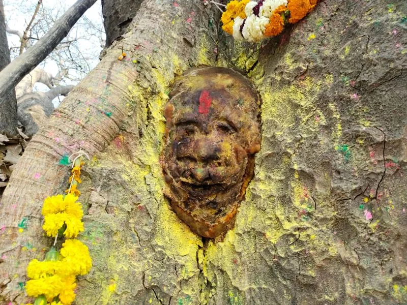 बहराइच के इस गांव में पीपल के पेड़ में उभरी आकृति तो भक्तों ने लगाए जयकारे, बोले- हनुमान जी ने दिए दर्शन