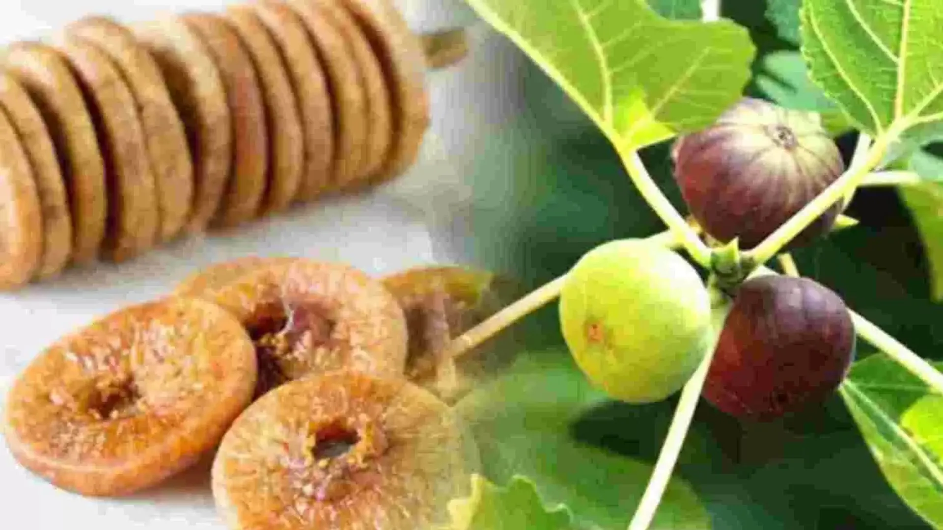 Health Tips : रोजाना खाली पेट अंजीर खाने से सेहत को मिलेंगे ये चौंकाने वाले फायदे, आप भी जान लीजिए 