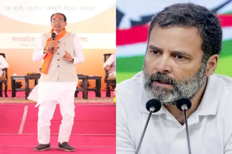 शिवराज ने राहुल पर असत्य बोलकर देश का अपमान करने का लगाया आरोप 