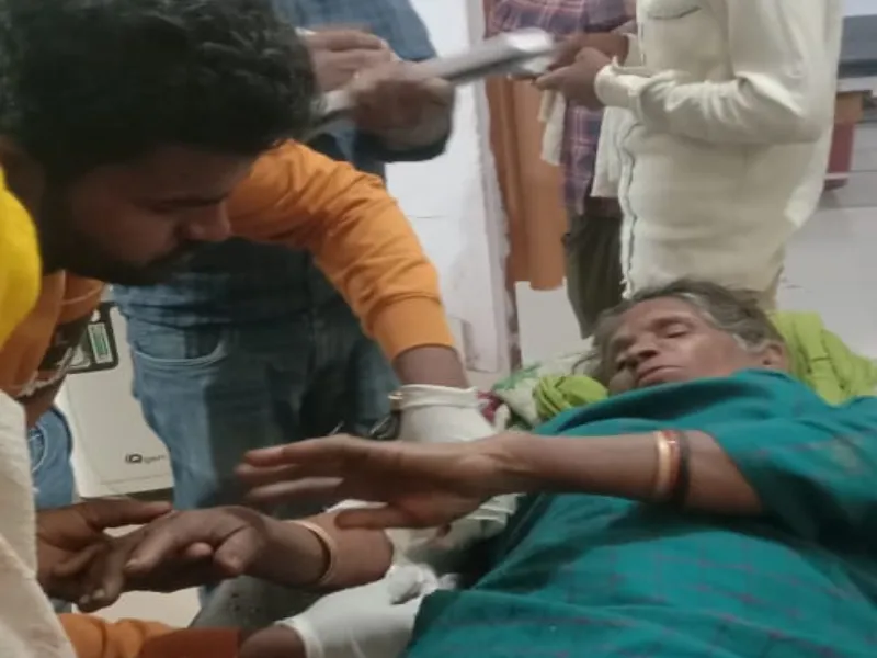 बहराइच: जंगली सूकर के हमले में भाई-बहन घायल, सीएचसी में चल रहा इलाज