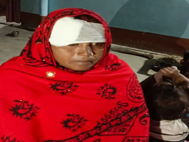 बहराइच: घर में घुसकर महिला को दबंगों ने पीटा, तीन लोगों पर केस