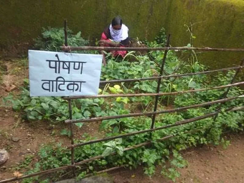 अयोध्या: राष्ट्रीय पोषण मिशन के तहत चार ब्लॉकों में बनेगी पोषण वाटिका 