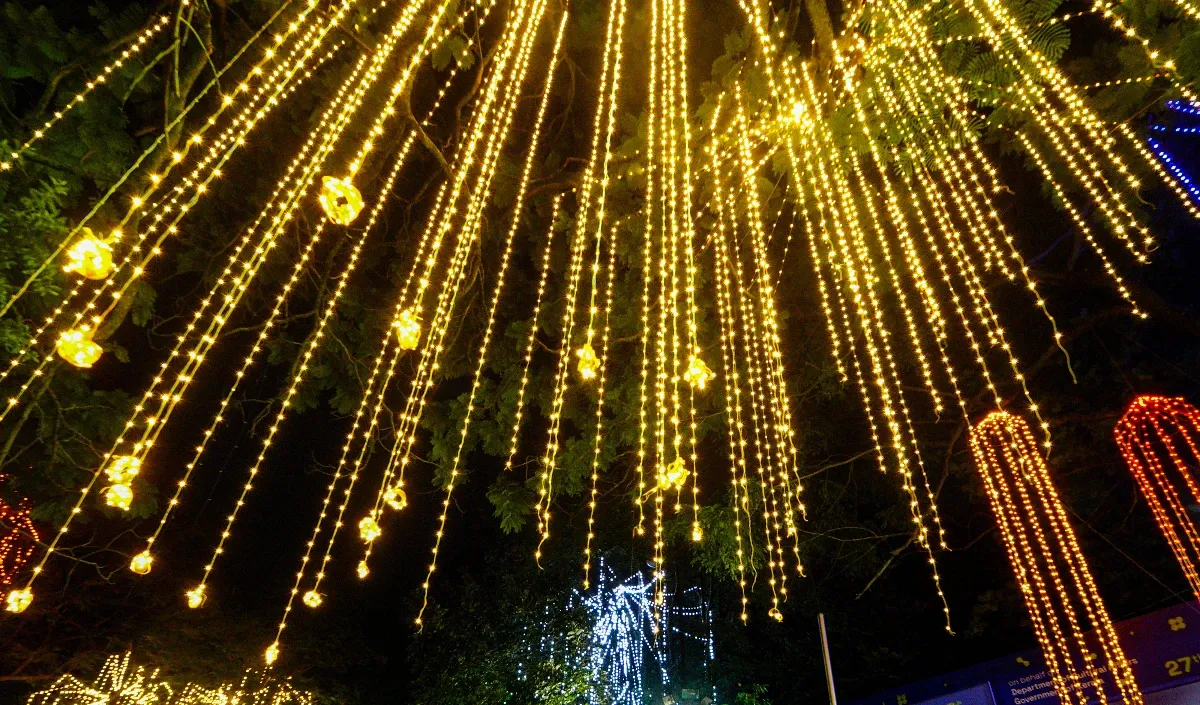 SRFTI में बंगाल अंतरराष्ट्रीय फिल्म महोत्सव का आयोजन 24 मार्च से