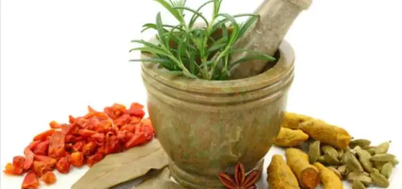  हल्द्वानी: पेट की बीमारियों में आयुर्वेदिक उपचार बेहद कारगर