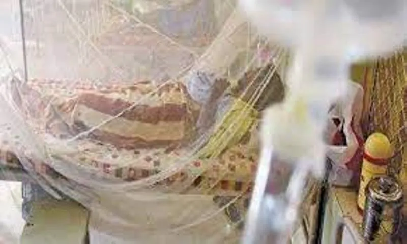 एच3एन2 इन्फ्लूएंजा: तमिलनाडु में 1,000 बुखार शिविर आयोजित 