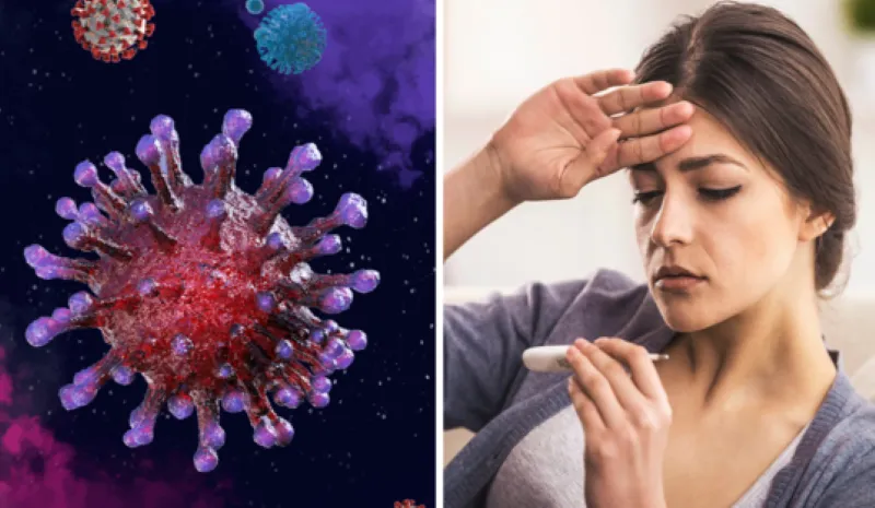 इन्फ्लुएंजा वायरस: उत्तराखंड में फैल रहा है एच3एन2 का प्रकोप, स्वास्थ्य विभाग ने जारी किया परामर्श  