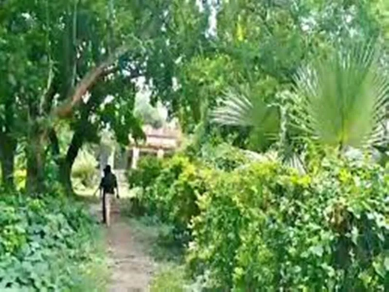 दिल्ली : शास्त्री पार्क में एक लाख पौधे लगाएगा डीडीए 