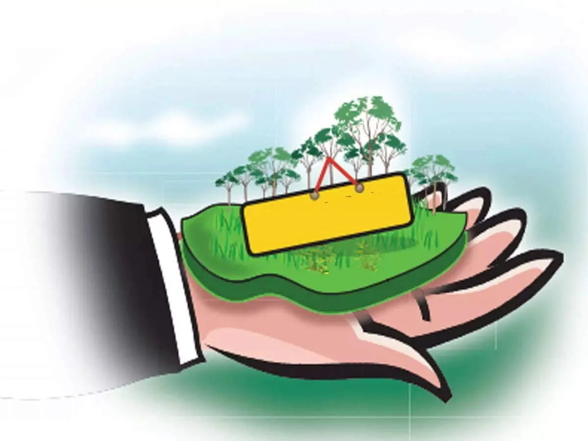 खटीमा: भूमि पर कब्जा करने के प्रयास का आरोप