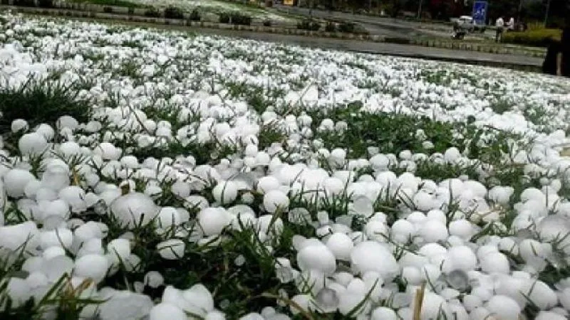 Weather News: उत्तराखंड के मौसम ने बदला रुख, कहीं बारिश तो कहीं ओलावृष्टि 