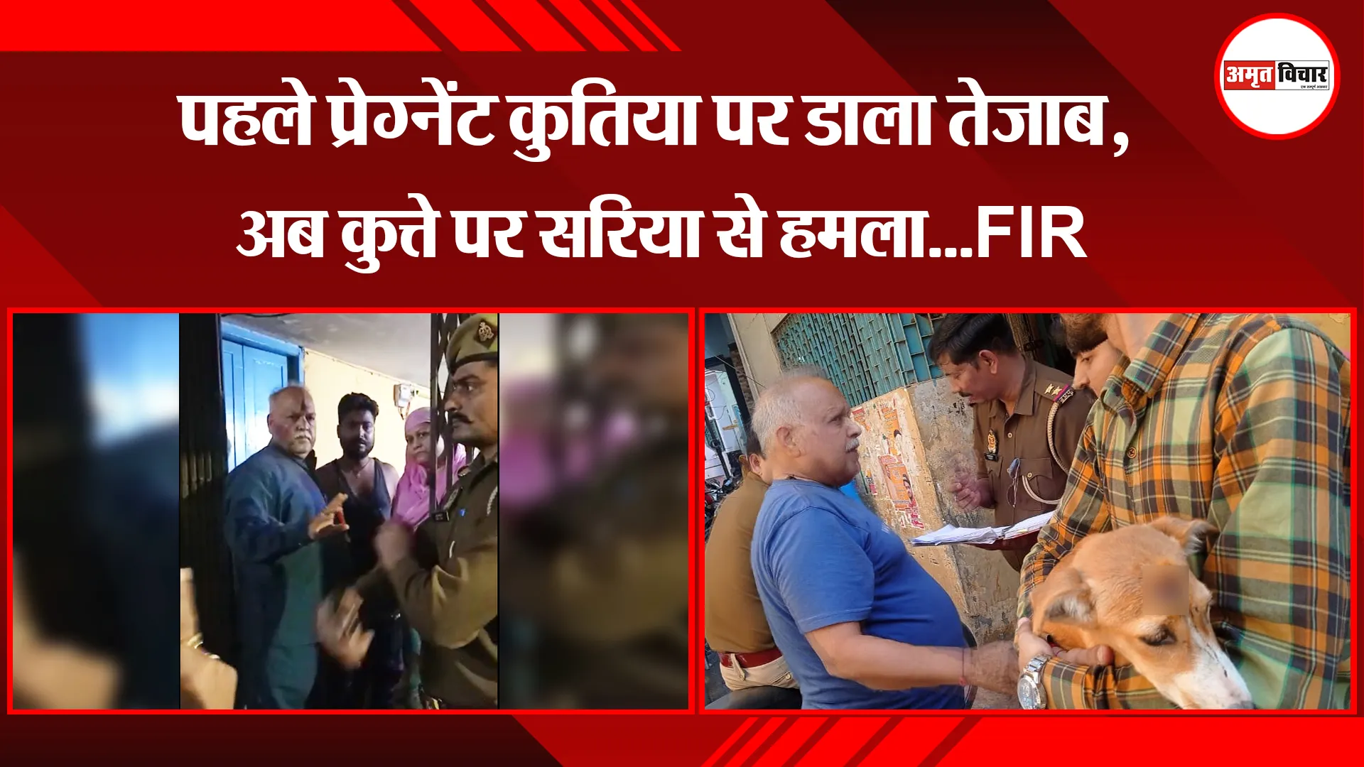 बरेली: पहले प्रेग्नेंट कुतिया पर डाला तेजाब, अब कुत्ते पर सरिया से हमला...FIR