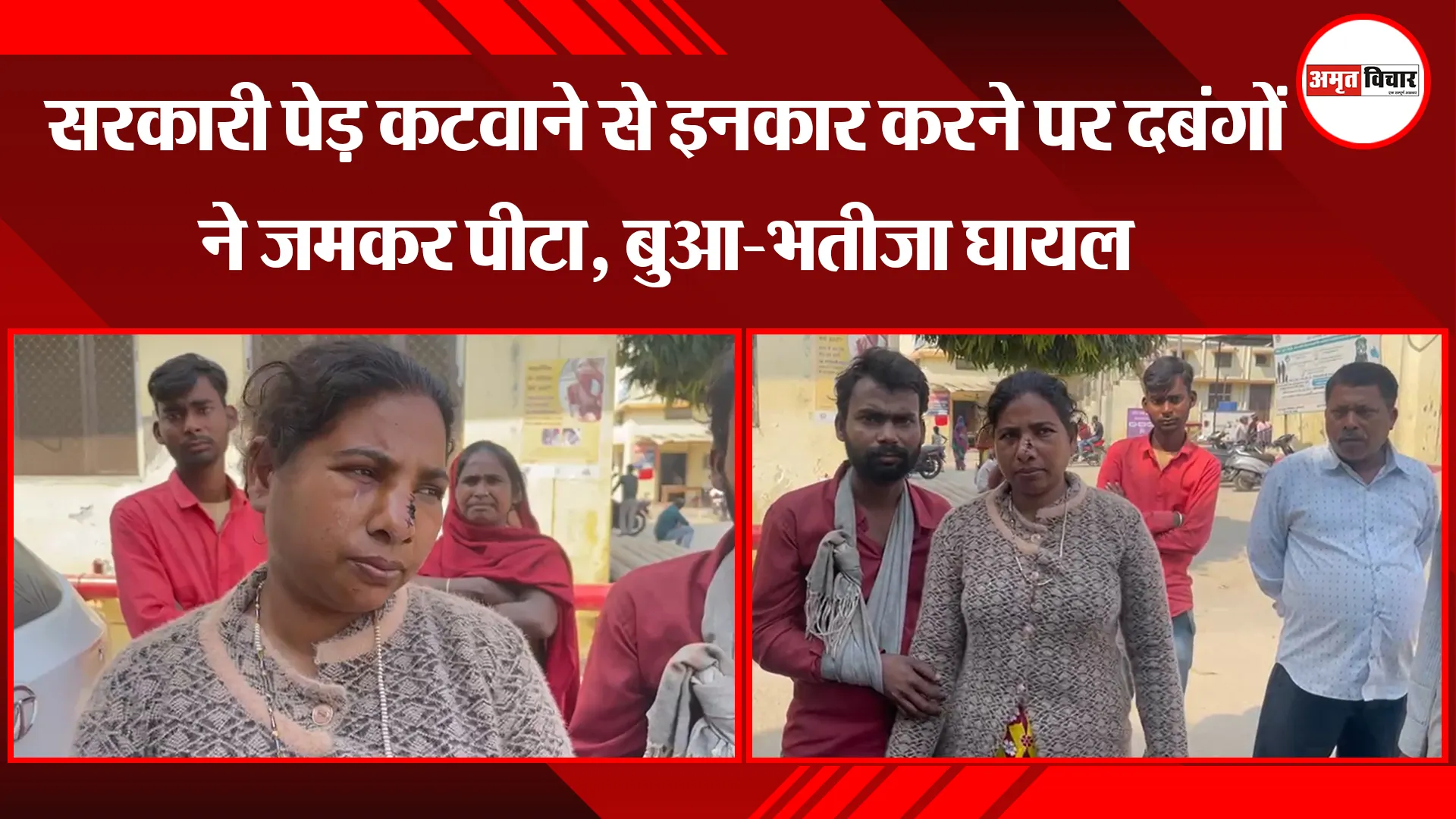 बरेली: सरकारी पेड़ कटवाने से इनकार करने पर दबंगों ने जमकर पीटा, बुआ-भतीजा घायल 