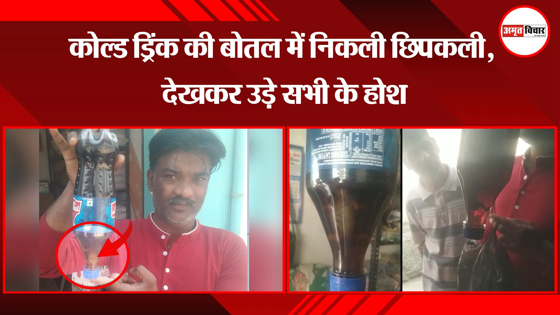 बरेली: कोल्ड ड्रिंक की बोतल में निकली छिपकली, देखकर उड़े सभी के होश