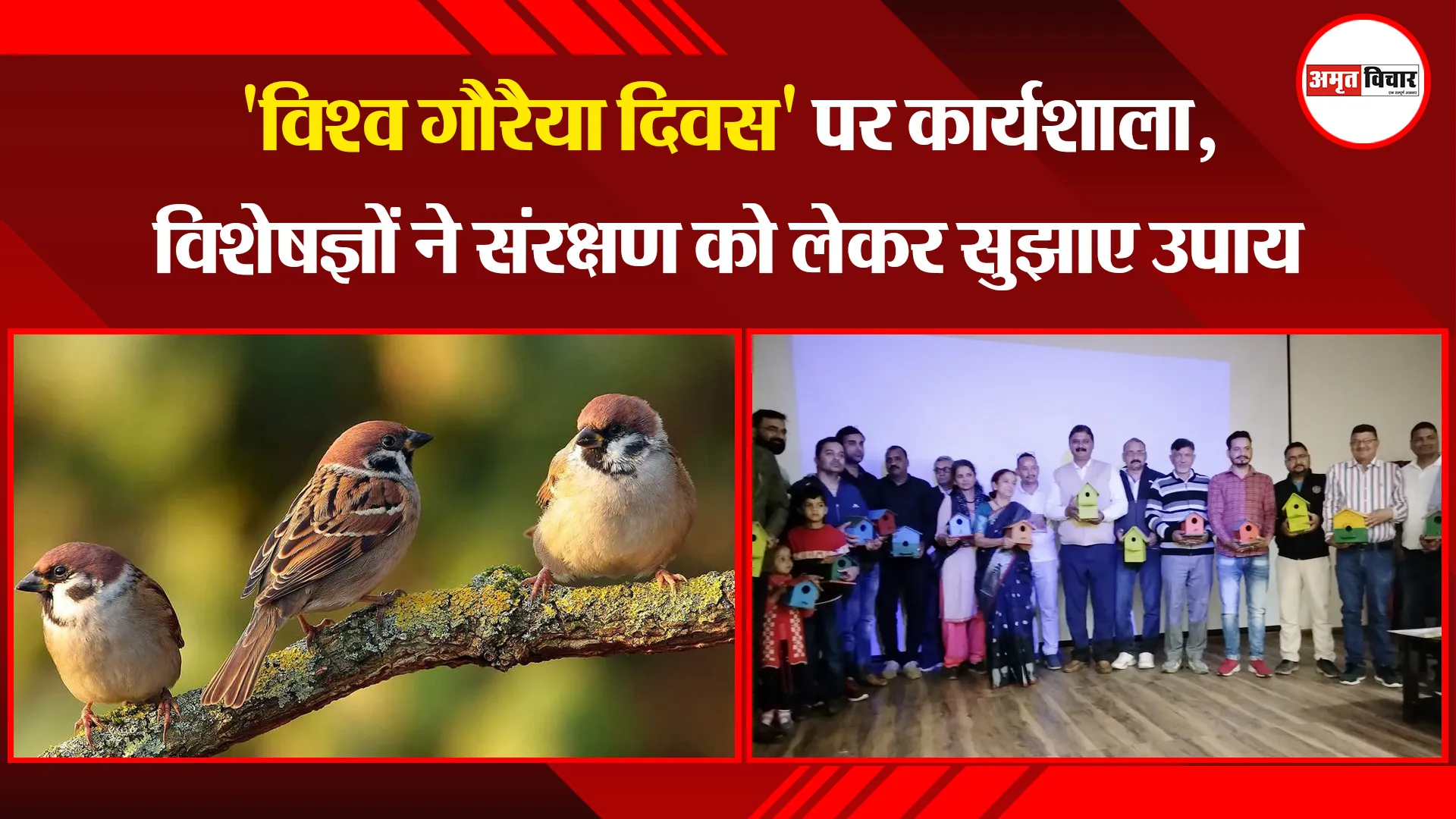 हल्द्वानी: 'विश्व गौरैया दिवस' पर कार्यशाला, विशेषज्ञों ने संरक्षण को लेकर सुझाए उपाय