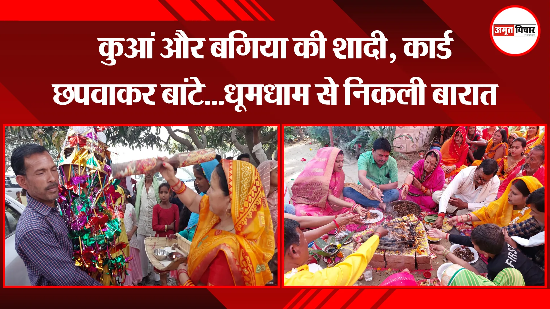 बहराइच: कुआं और बगिया की शादी, कार्ड छपवाकर बांटे...धूमधाम से निकली बारात