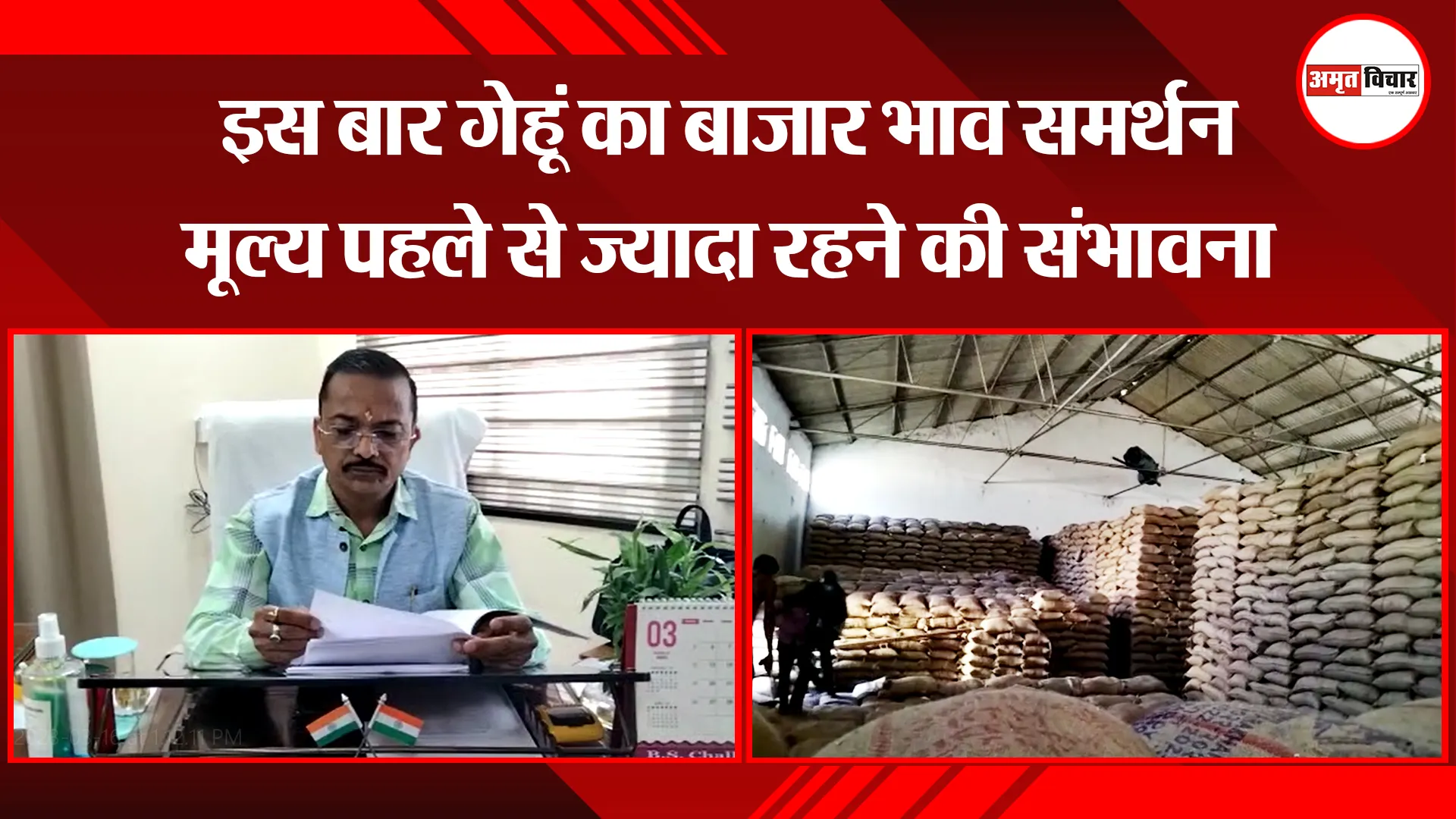 हल्द्वानी: इस बार गेहूं का बाजार भाव समर्थन मूल्य पहले से ज्यादा रहने की संभावना
