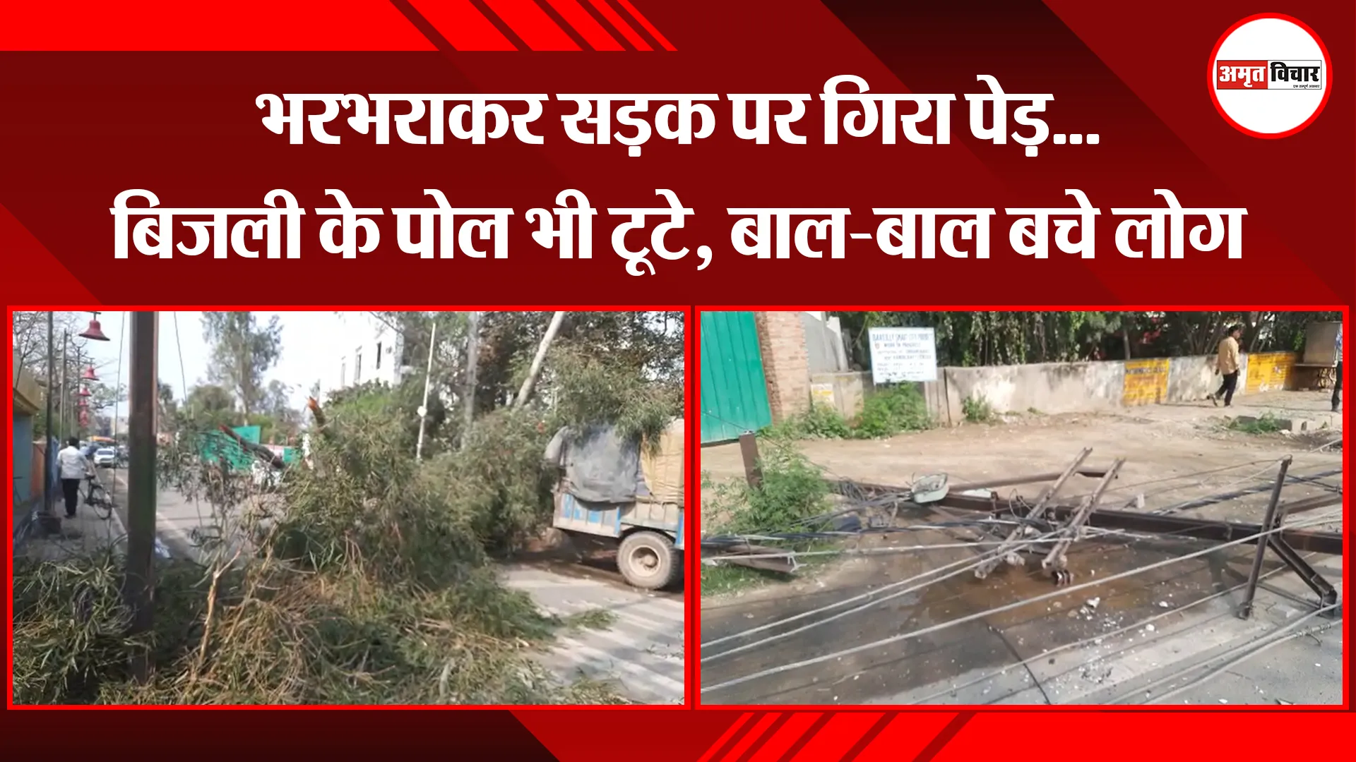 बरेली: भरभराकर सड़क पर गिरा पेड़...बिजली के पोल भी टूटे, बाल-बाल बचे लोग