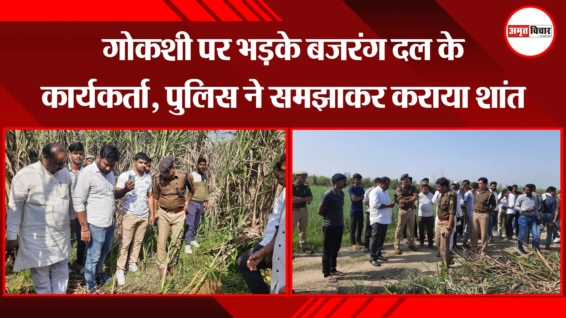 मेरठ: गोकशी पर भड़के बजरंग दल के कार्यकर्ता, पुलिस ने समझाकर कराया शांत