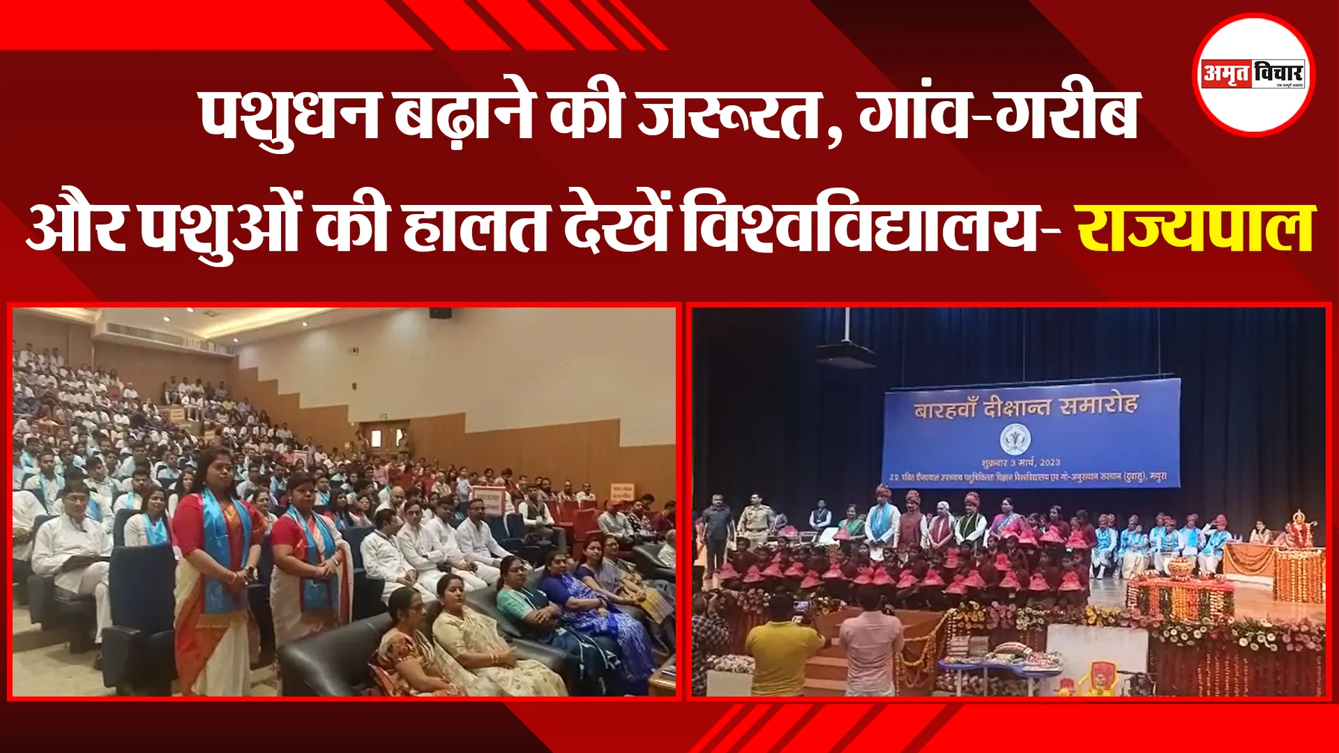 मथुरा: पशुधन बढ़ाने की जरूरत, गांव-गरीब और पशुओं की हालत देखें विश्वविद्यालय- राज्यपाल