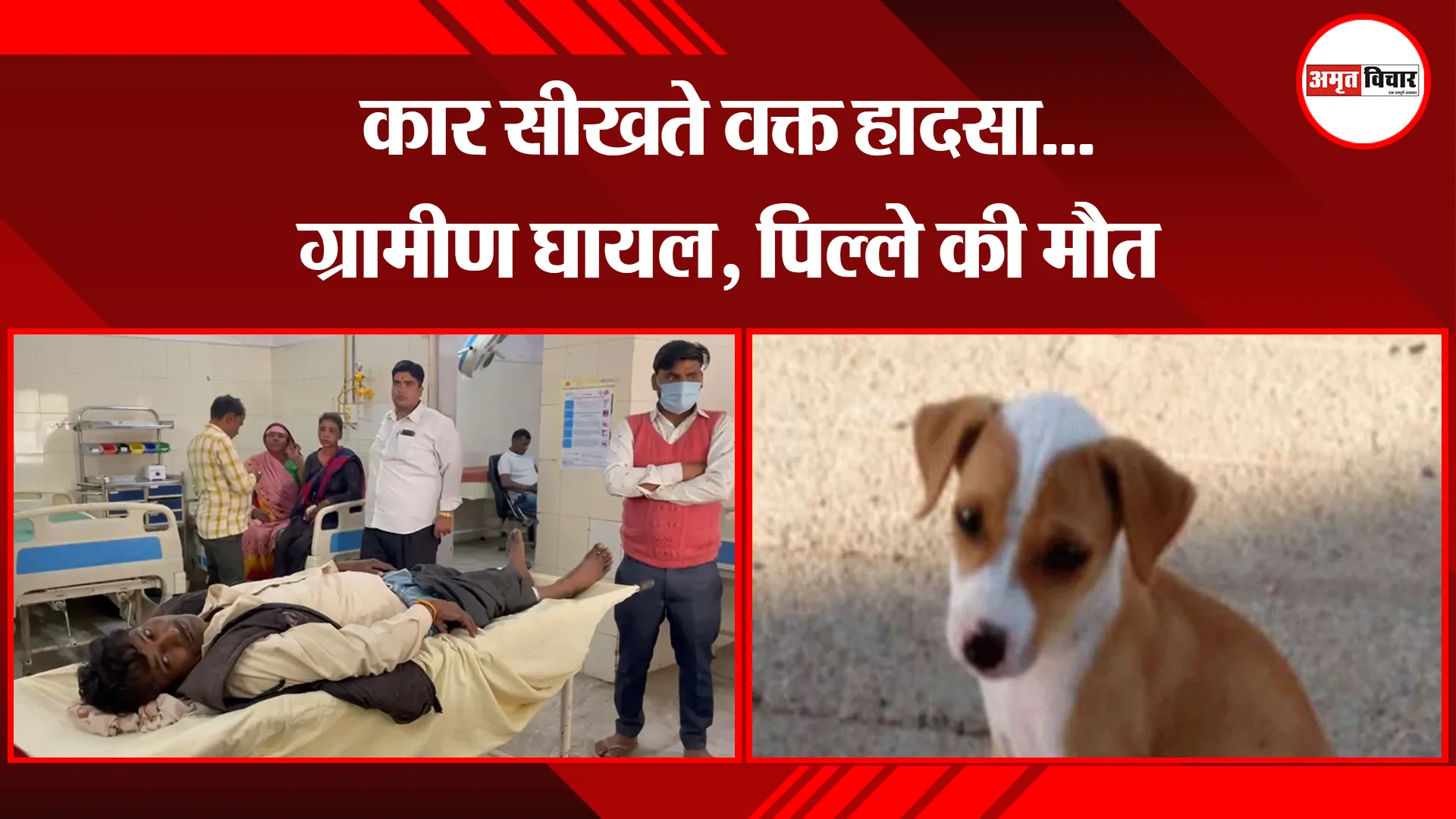 बरेली: कार सीखते वक्त हादसा...ग्रामीण घायल, पिल्ले की मौत