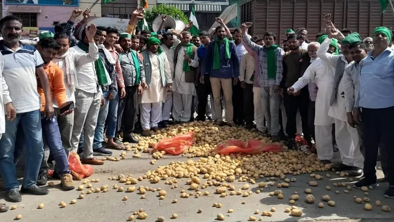  संभल : किसानों ने पैदल मार्च कर एसडीएम दफ्तर के सामने बिखेरे आलू, प्रदर्शन कर सौंपा ज्ञापन