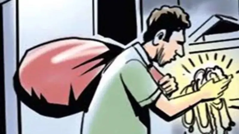 अमरोहा : ताला तोड़कर दस लाख की चोरी, माल समेटकर घर में रखी सीढ़ी के सहारे निकल गये चोर