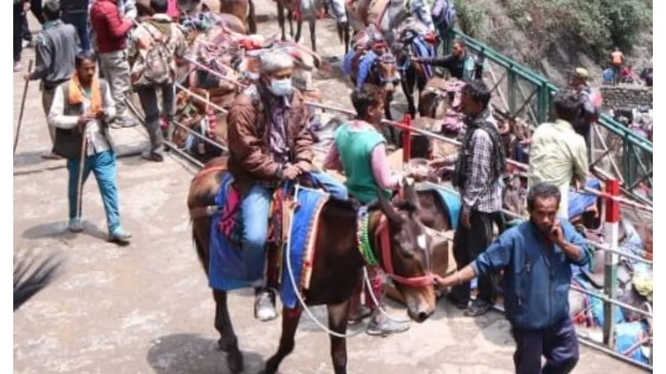 Char Dham Yatra 2023: यात्रा में शामिल होने के लिए घोड़ा-खच्चर संचालकों को दिखानी होगी ग्लैंडर्स रिपोर्ट