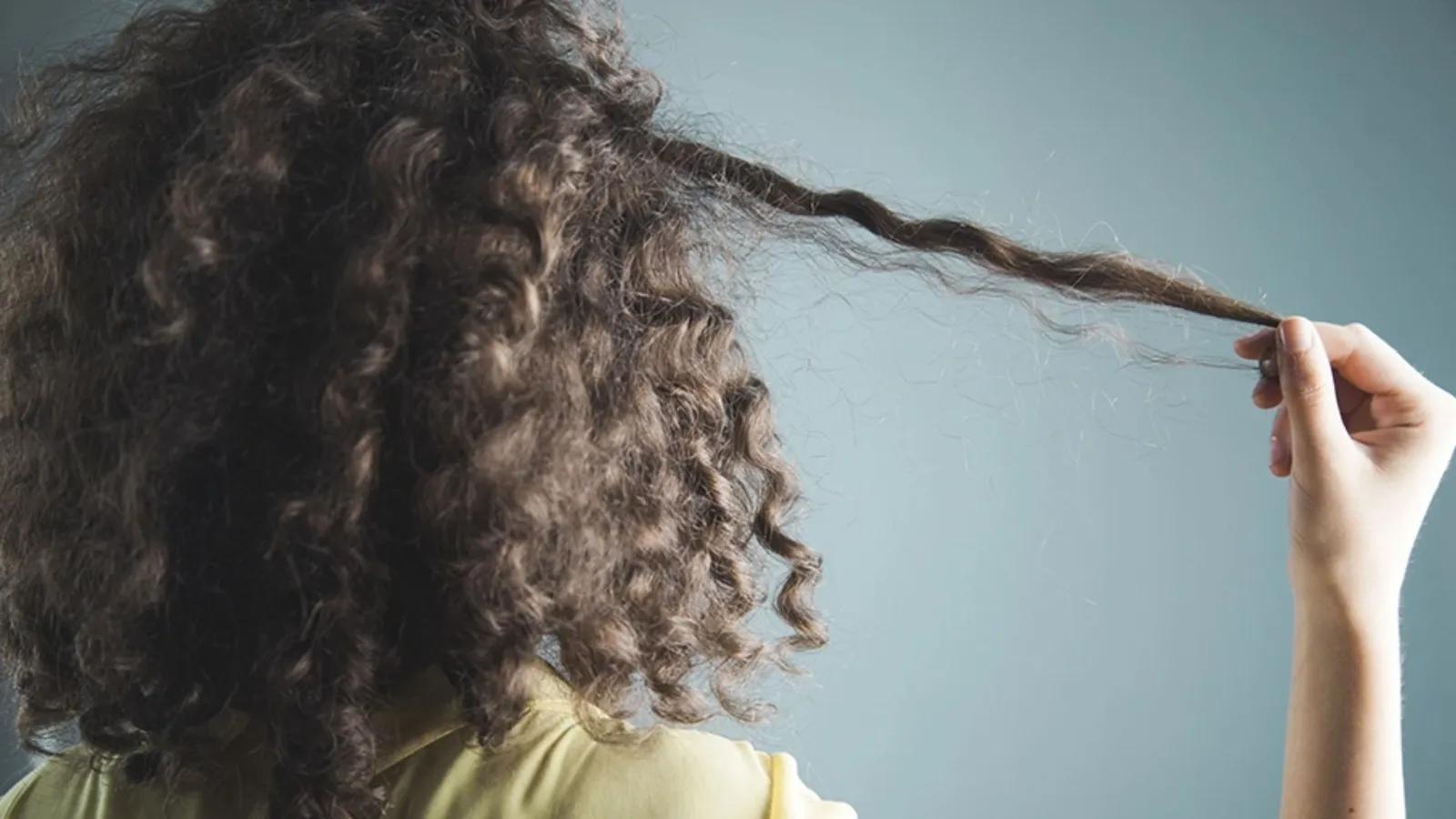 Oil for Curly Hair: अगर आपके बाल भी हैं घुंघराले तो जानिए कौन सा तेल लगाएं 