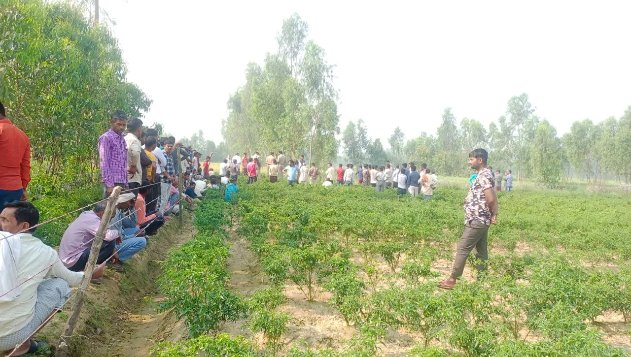 बरेली: युवक की सिर काटकर नृशंस तरीके से हत्या, तफ्तीश में जुटी पुलिस