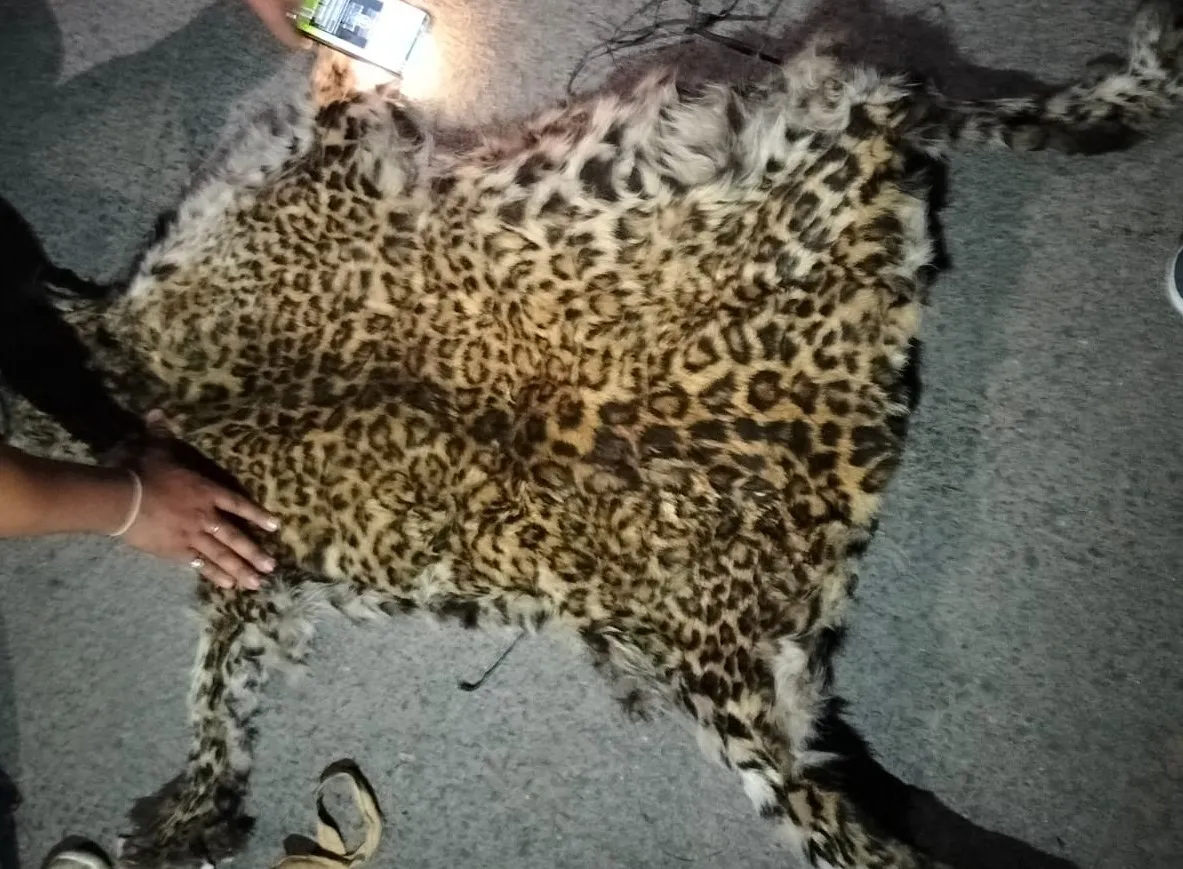 WhatsApp Image 2023-03-14 at 1.51.26 PM