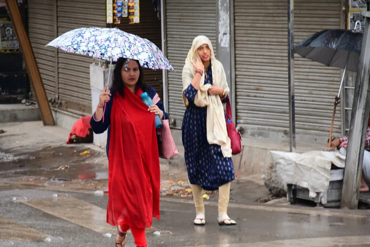 WhatsApp Image 2023-03-20 at 10.16.21 AM