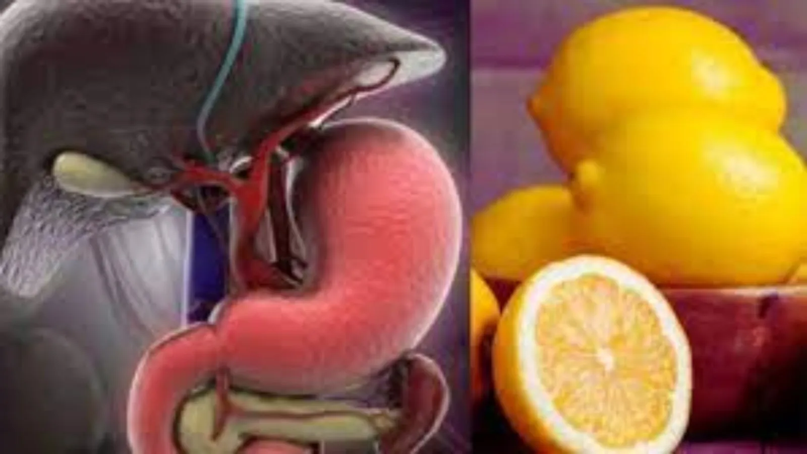 Liver Detox Tips: लिवर डिटॉक्स करने में कारगर हैं ये टिप्स, एक ही सप्ताह में दिख सकता है असर
