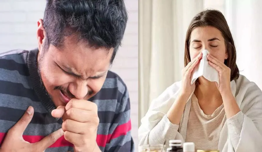 'Influenza A' के उपस्वरूप के कारण फैल रही खांसी और बुखार: ICMR विशेषज्ञ  