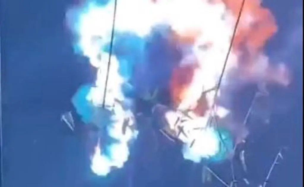 Viral Video: अचानक से धू-धू कर जलने लगा हरा-भरा पेड़, वीडियो देखकर आप भी रहे जाएंगे दंग 