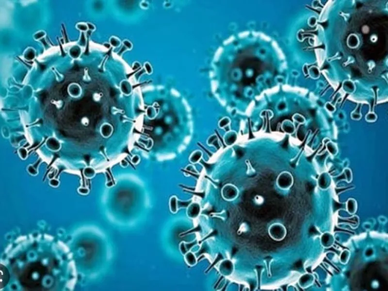 कोरोना वायरस : प्रदेश में मिले 758 नए संक्रमित , 271 मरीजों ने दिए कोरोना को मात