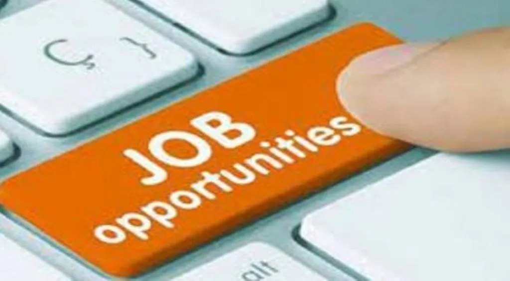 Jobs: यहां इन पदों पर निकलीं बंपर नौकरियां, जानें सैलरी और आवदेन प्रक्रिया