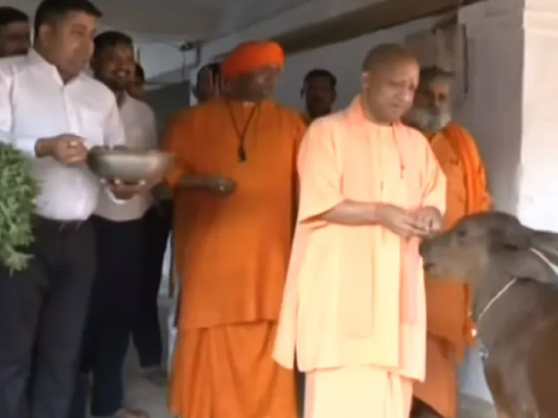 बलरामपुर : CM योगी ने की मां पाटेश्वरी शक्तिपीठ की पूजा, गायों को खिलाया चारा
