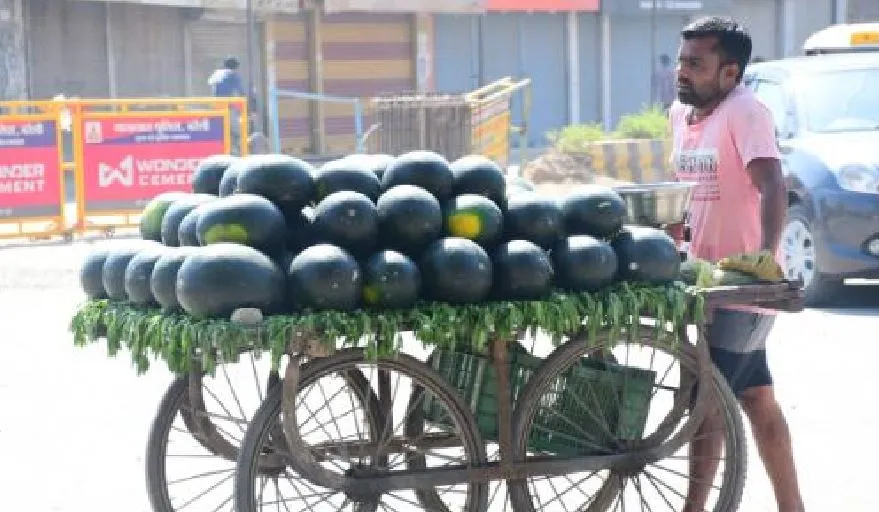 बरेली: अफगानिस्तान से लेकर आंध्रप्रदेश तक से आ रहे शहर में तरबूज, इन गुणों से है भरपूर