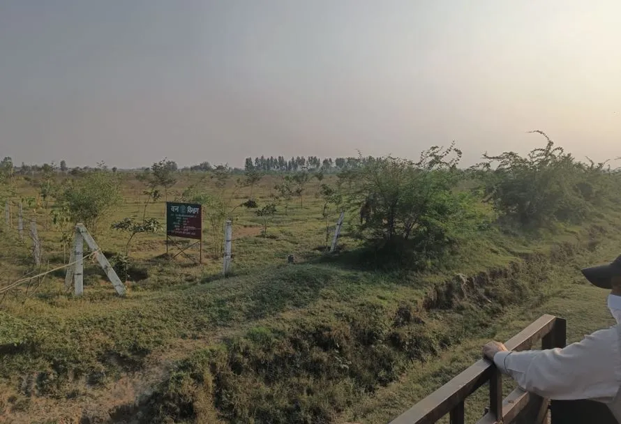 बरेली: मंझा में भी मुश्किल... रेत पर नहीं रख पाएंगे वानिकी विश्वविद्यालय की बुनियाद