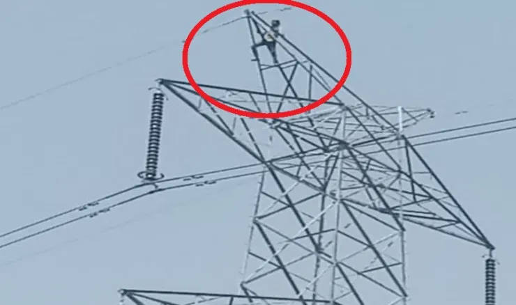 बदायूं: मच्छरों से परेशान युवक हाईटेंशन लाइन के टावर पर चढ़ा, कई घंटे बाद उतरा नीचे